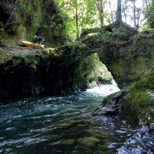 Palguin River - Intermediate Kayaking