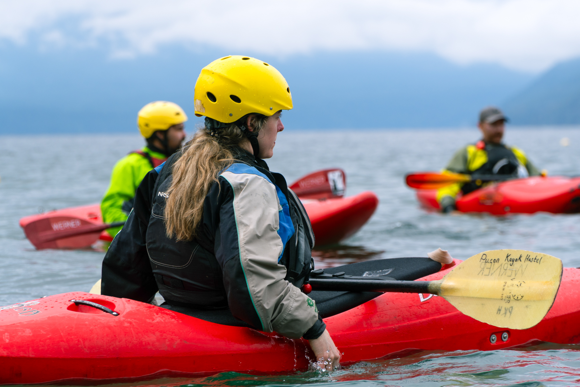 Kayaking in Chile is the Palguin River with seal launch