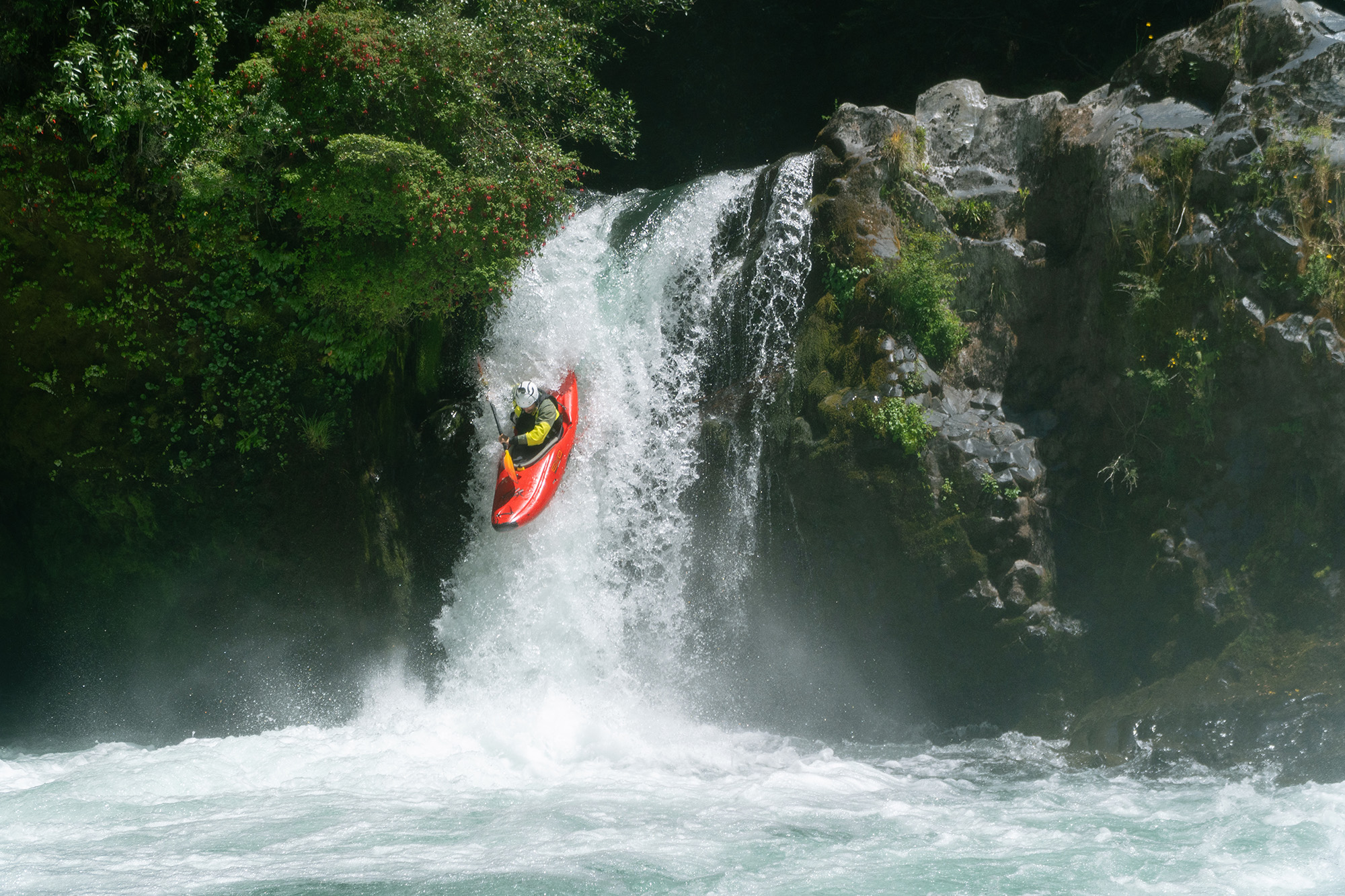 Kayaking in Chile is the Palguin River with seal launch