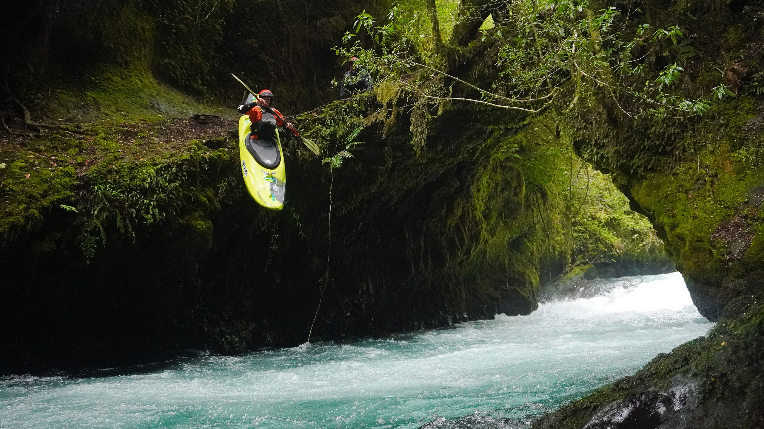 Kayaking in Chile is the Palguin River with seal launch