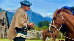 Patagonia Chile gauso